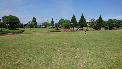 菊陽杉並木公園の画像