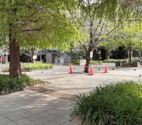 中ノ橋北東児童遊園の画像