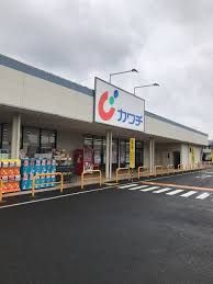 カワチ薬品 間々田店の画像