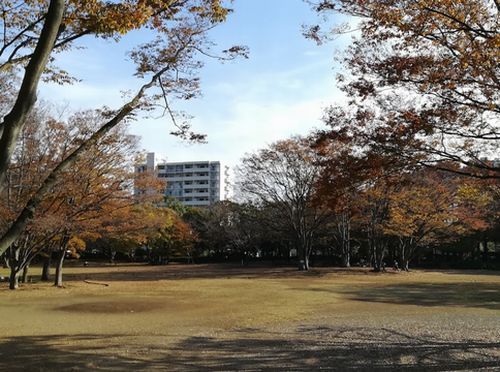 茅ヶ崎中央公園の画像