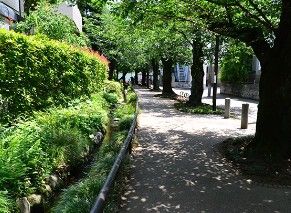 北沢川緑道の画像