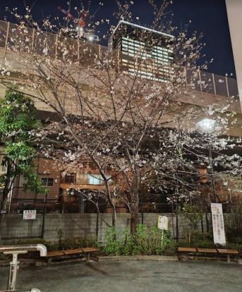 金杉橋児童遊園の画像