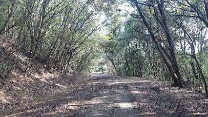 神園山小山山緑地の画像