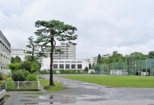 世田谷区立池尻小学校の画像