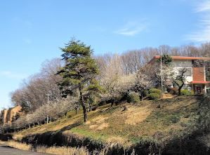 光塩女子学院日野幼稚園の画像