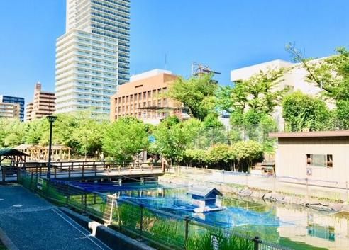 木場親水公園の画像