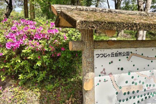 つつじヶ丘自然公園の画像