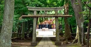 喜多見 氷川神社の画像
