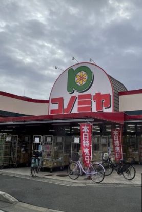 コノミヤ 菅田店の画像