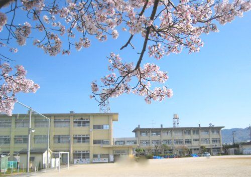 奈良市立帯解小学校の画像