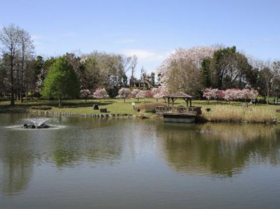 城山公園の画像