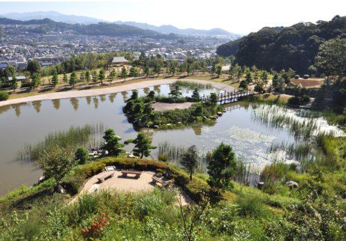 東三河ふるさと公園の画像