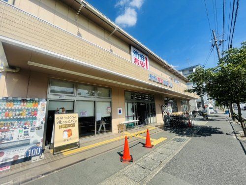 新鮮激安市場! 桂店の画像