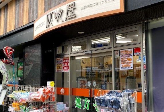 灰吹屋薬局高津西口店の画像