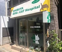 渋谷犬猫病院の画像