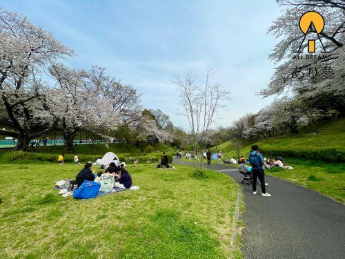 神奈川県立保土ケ谷公園の画像