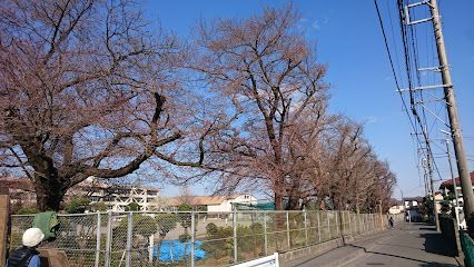 東大和市立第一中学校の画像