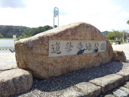 蓮華寺池公園の画像