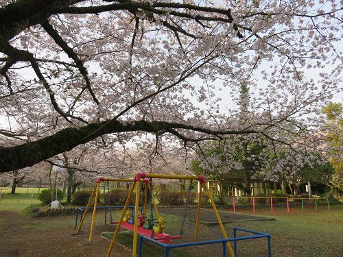 菊川公園の画像