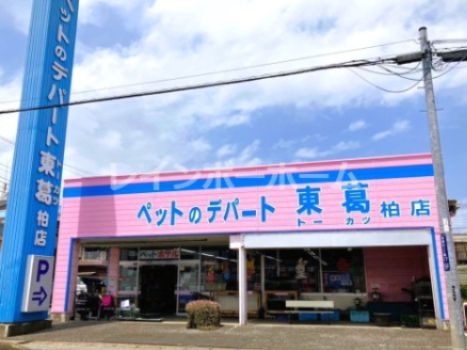 ペットのデパート東葛 柏店の画像