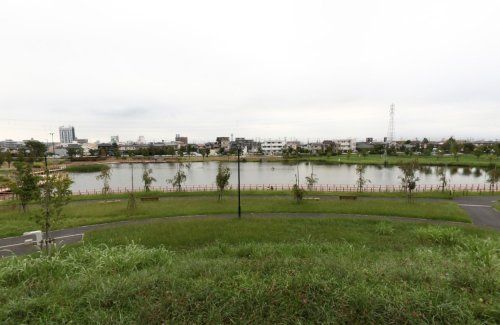 上総更級公園の画像