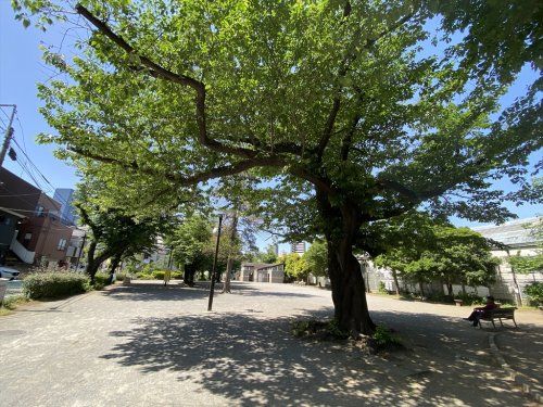 上池袋さくら公園の画像