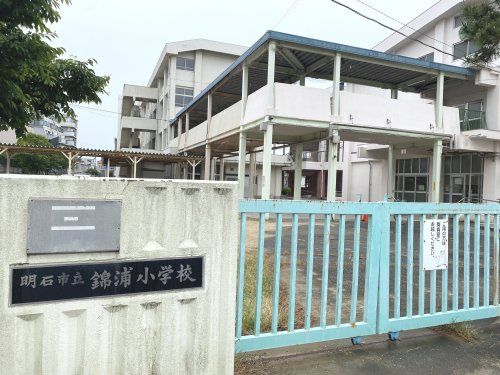 明石市立錦浦小学校の画像