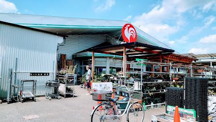 コメリハード&グリーン武蔵村山中央店の画像