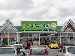 めぐみの郷伊川谷店の画像