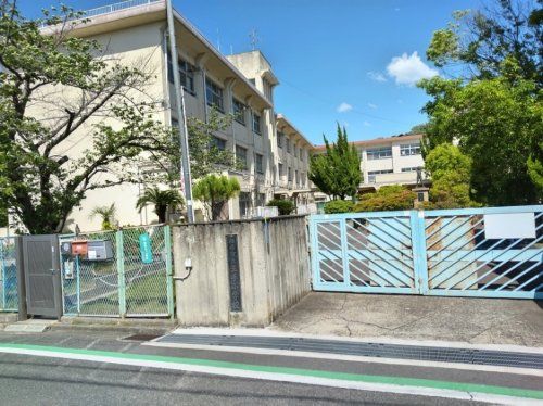 柏原市立玉手小学校の画像