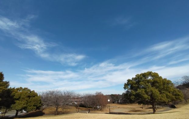 東山田公園の画像