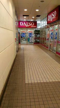 ザ・ダイソー DAISO MINANO分倍河原店の画像