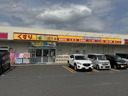 どらっぐぱぱす八潮大瀬店の画像