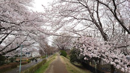 上向台小学校の画像