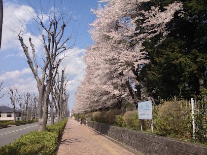 東小学校の画像