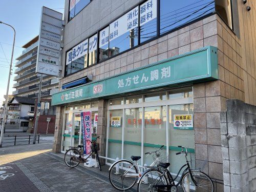 セガミ薬局南巽店の画像