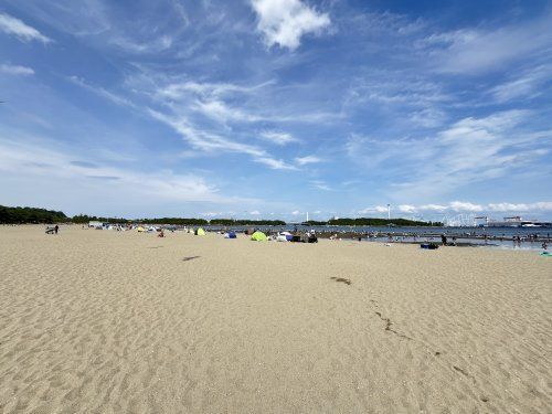 海の公園の画像