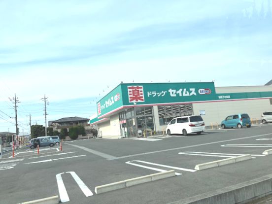 ドラッグセイムス 前橋下小出店の画像