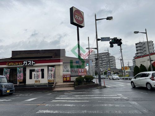 ガスト新所沢店の画像