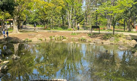 平和の森公園の画像