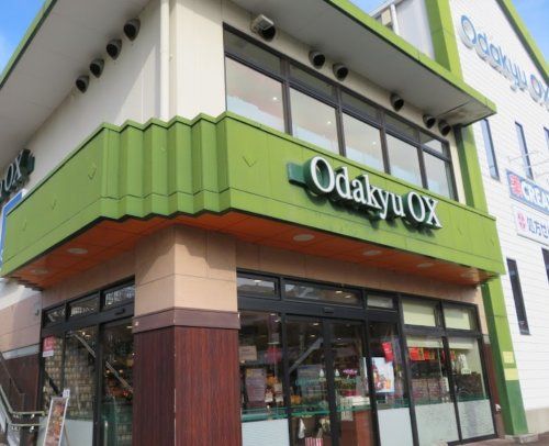 Odakyu OX(オダキュウ オーエックス) 座間店の画像