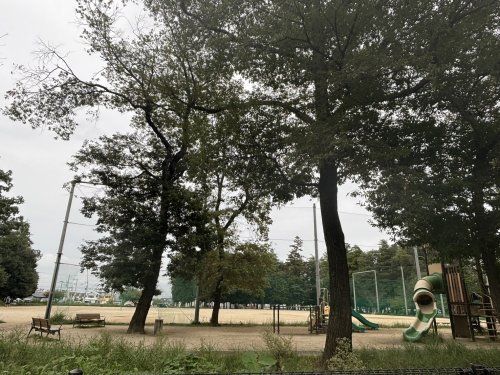 小泉氷川山公園の画像