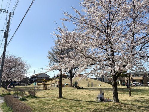 武川中央公園の画像