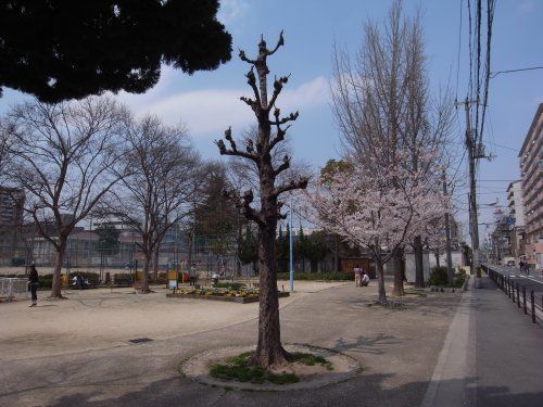 蒲生公園の画像