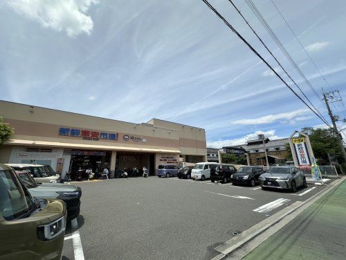 新鮮激安市場!伏見丹波橋店の画像