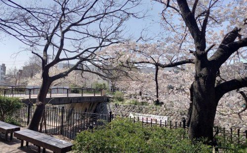 都賀川公園の画像