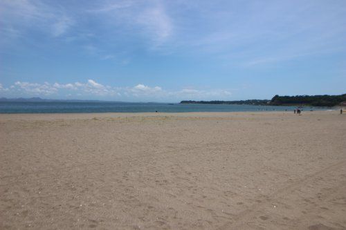 三浦海岸海水浴場の画像