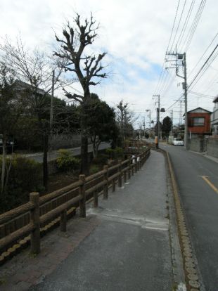 六辻水辺公園の画像