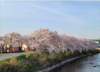 清洲公園の画像