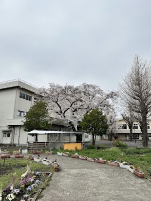 相模原市立星が丘小学校の画像